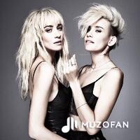 Nervo