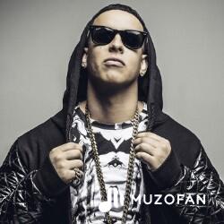 Daddy Yankee Feat. Luis Fonsi - Ella Me Levanto ( Especial Mashups - Cover Hdm )